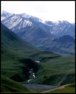 Alaska Denali park lowlands hills river