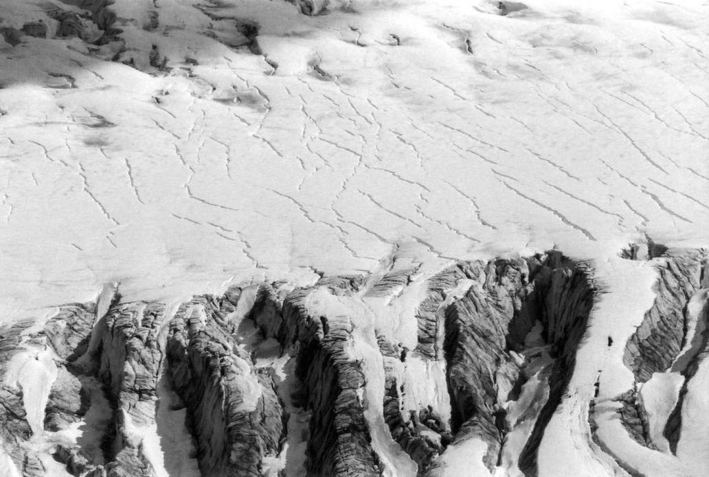 Alaska exit glacier contours monochrome