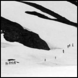 thumbnail Alaska exit glacier hike trail hikers monochrome
