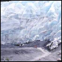 thumbnail Alaska exit glacier bottom trees