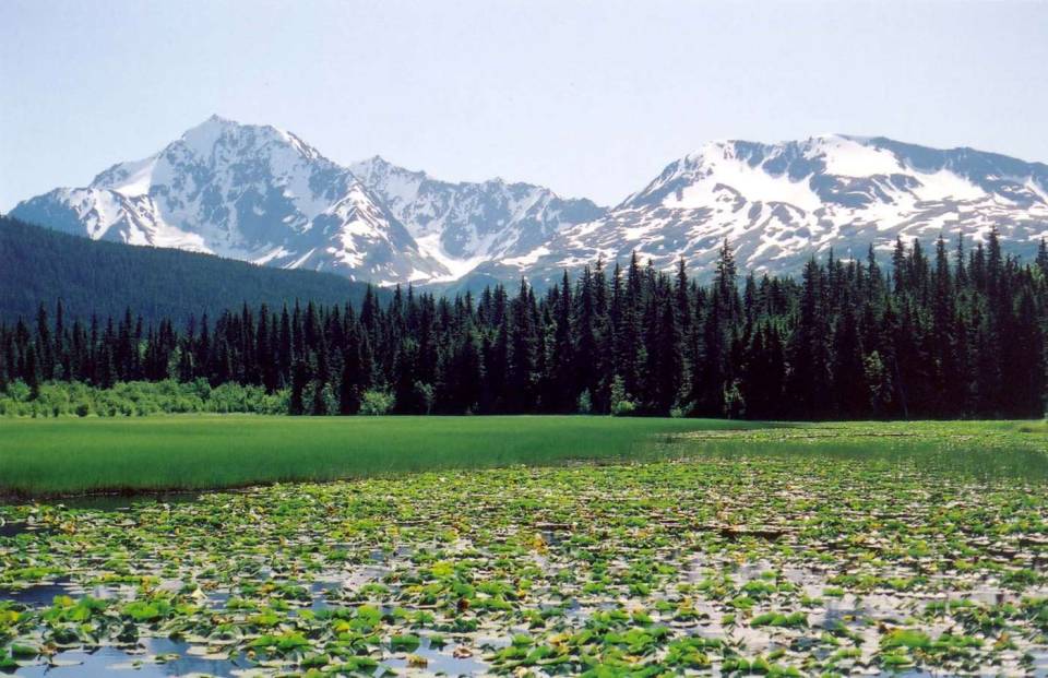 Alaska Yukon lake forest mountains