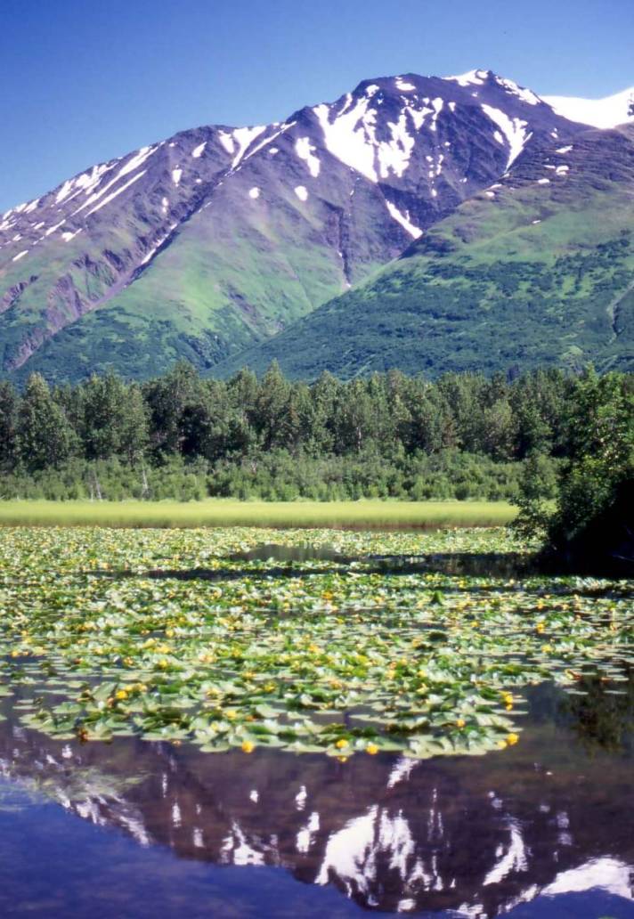 Alaska Yukon mountain peak reflection lake forest