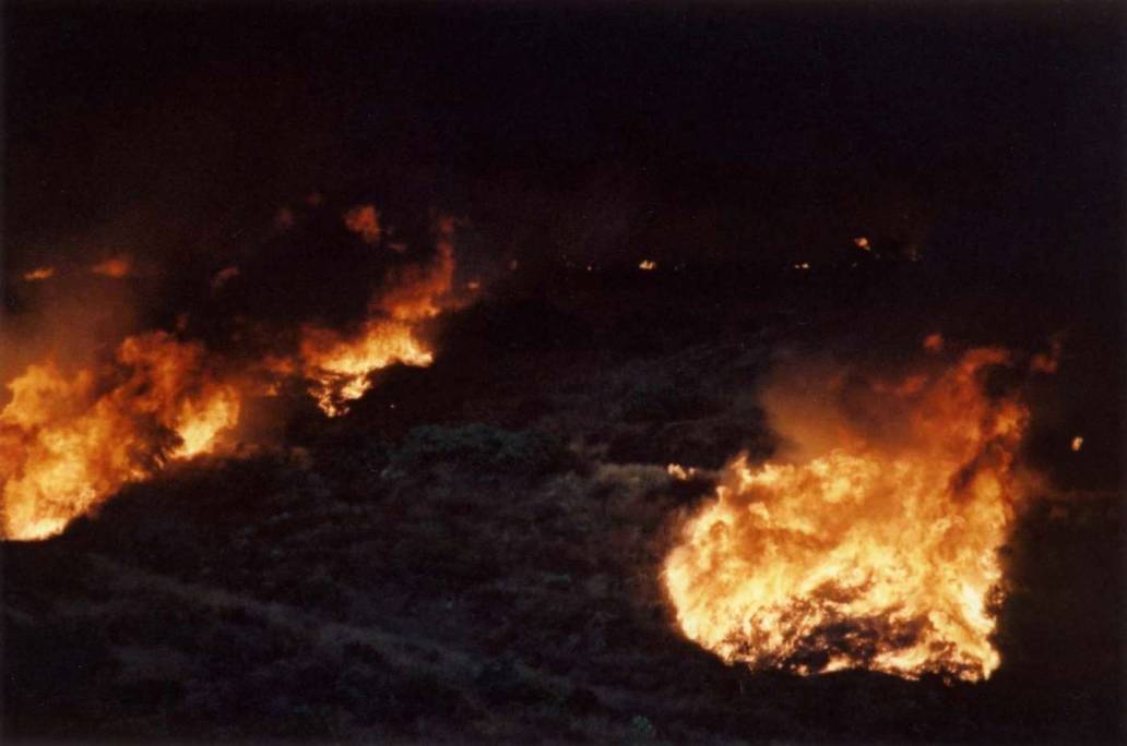 San Diego Cedar Fire 2003