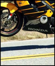 Sunrise Highway Honda CBR wheelie