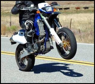 Sunrise Highway DRZ wheelie cows