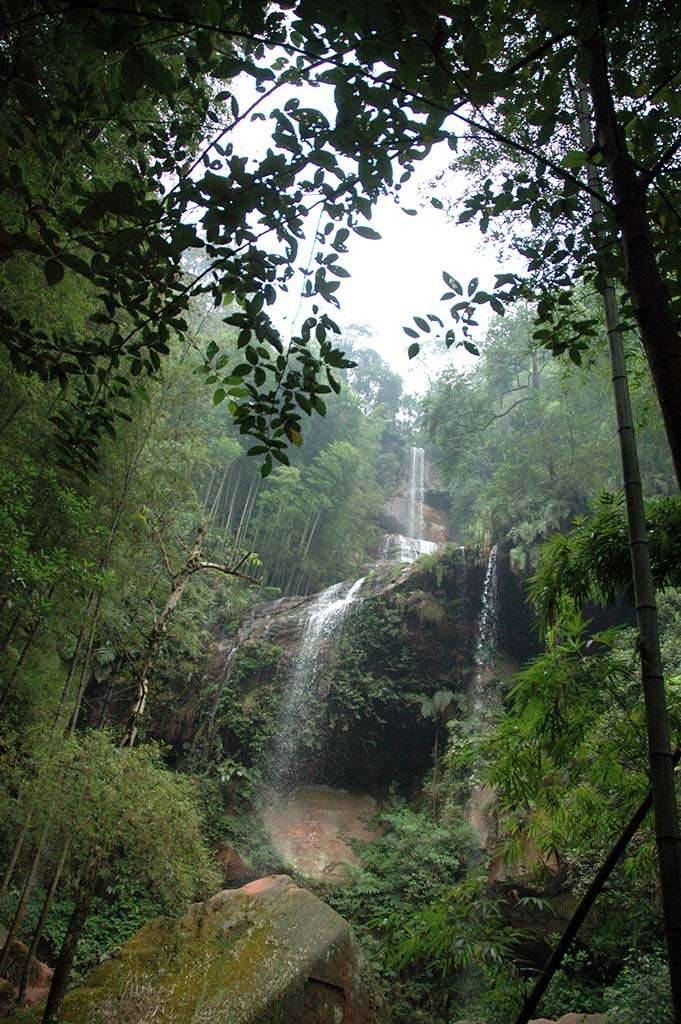 China bamboo forest waterfall