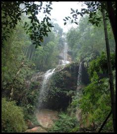 China bamboo forest waterfall