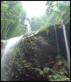 China bamboo forest waterfall long exposure