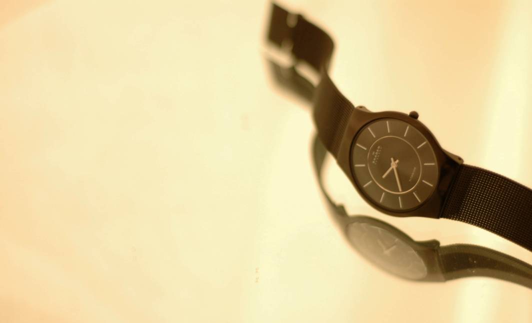 Skagen watch