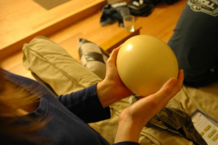 Ostrich egg