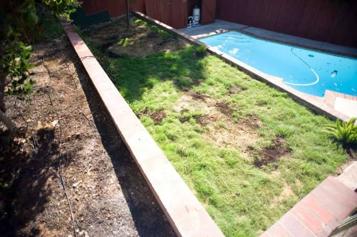 Grass terraces yard pool