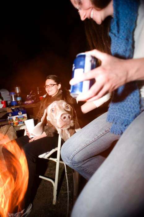 Camping night photography slow shutter dog stick weimaraner fire