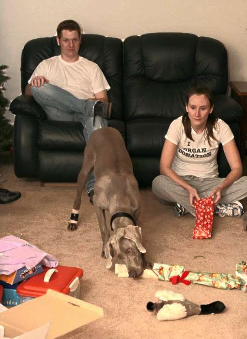 Weimaraner bone Christmas presents