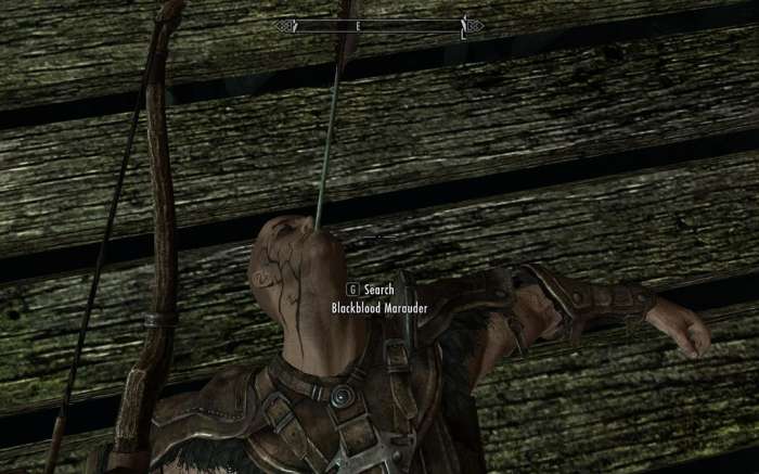 Skyrim marauder arrow shot mouth