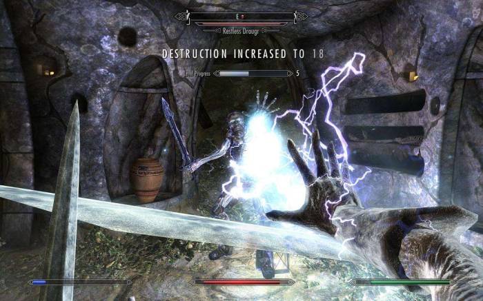 Skyrim destruction shock draugr