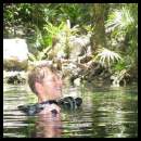 thumbnail Cenote dive Cancun Mexico surface jungle