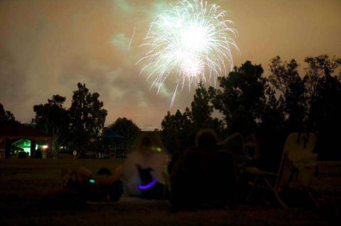 Fireworks Independence Day long exposure dog glow collar