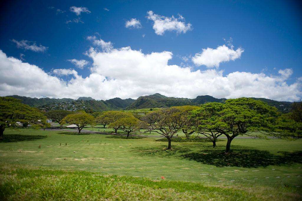 Hawaii Oahu Honolulu field