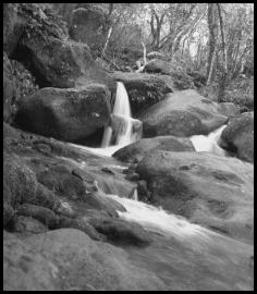 Hawaii Kauai Kalalau trail Napali coast monochrome stream