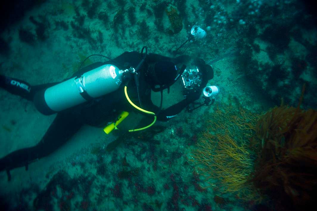 Scuba dive La Jolla kelp diver Ikelite housing