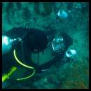 thumbnail Scuba dive La Jolla kelp diver Ikelite housing