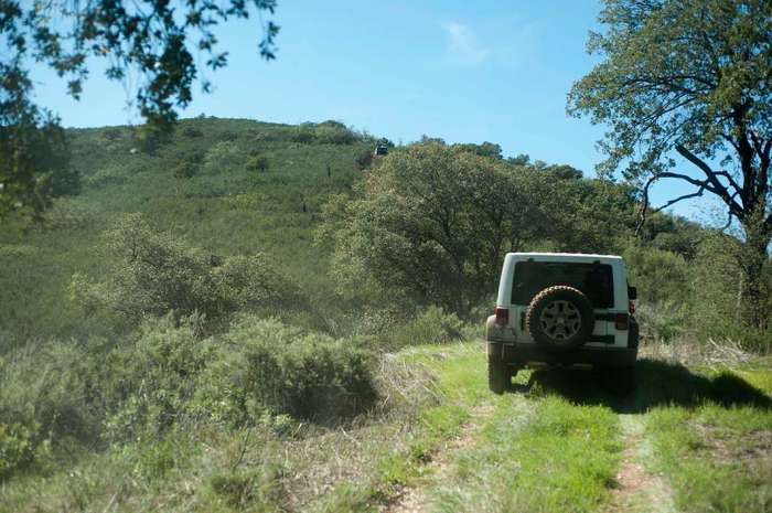 Jeep offroading