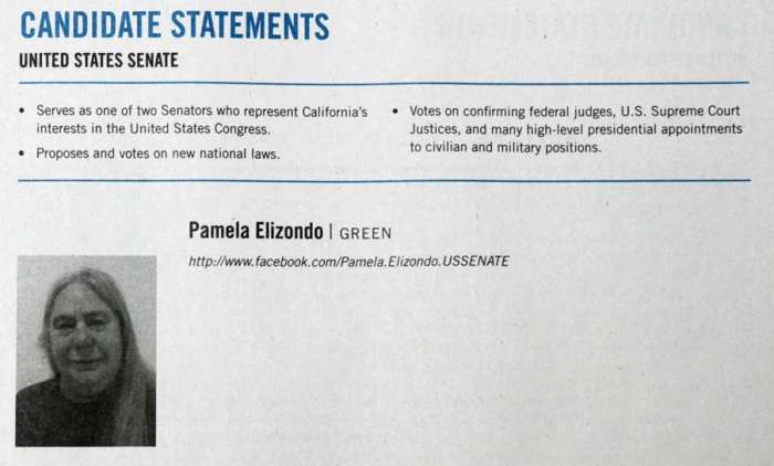 California politics voter information Pamela Elizondo