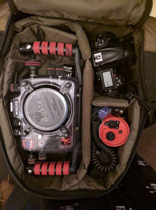 Underwater photography gear Ikelite substrobe Nikon D700 Tenba