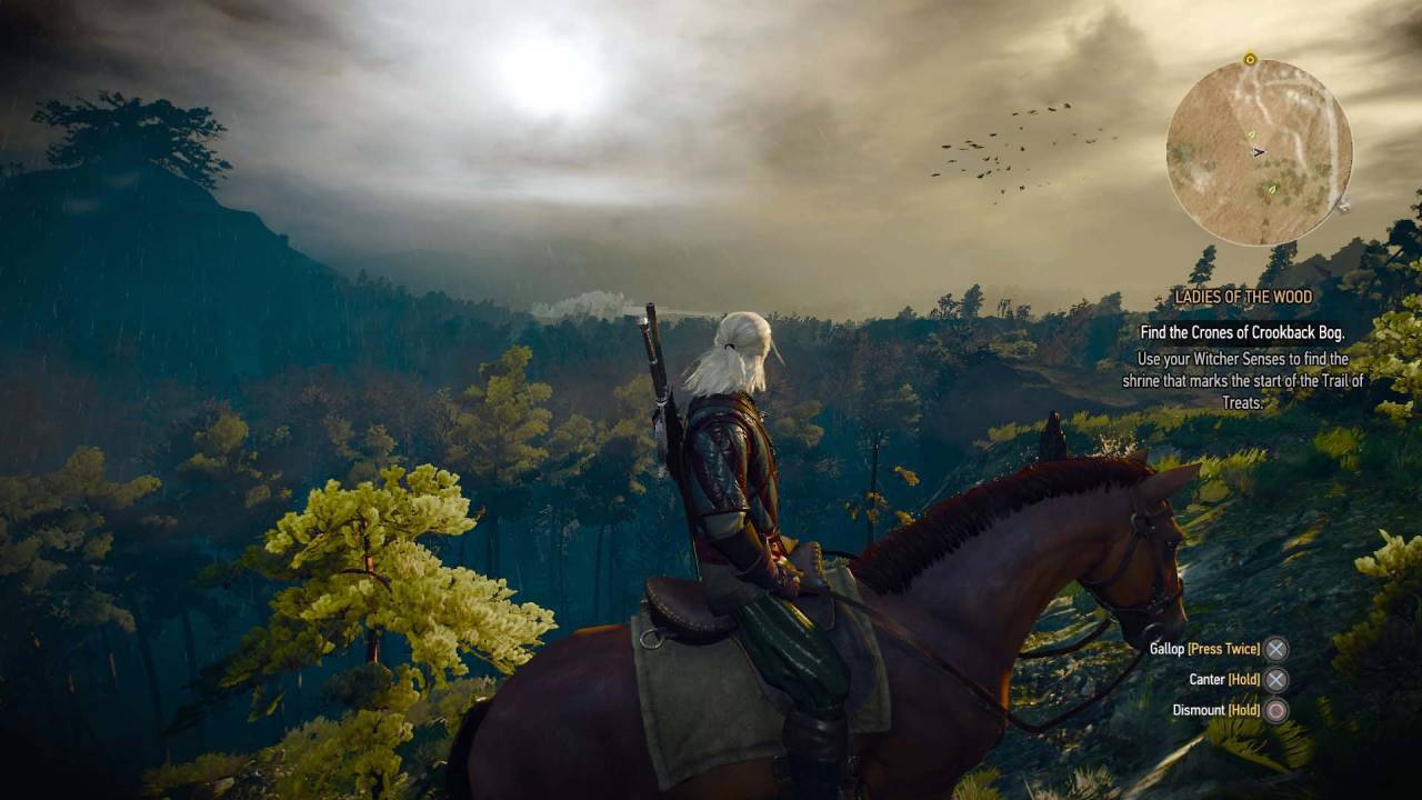 The Witcher 3 Geralt Roach view swamps