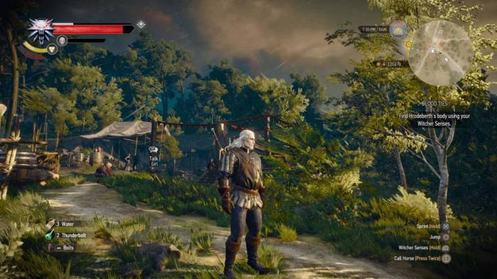 The Witcher 3 Geralt weather forest
