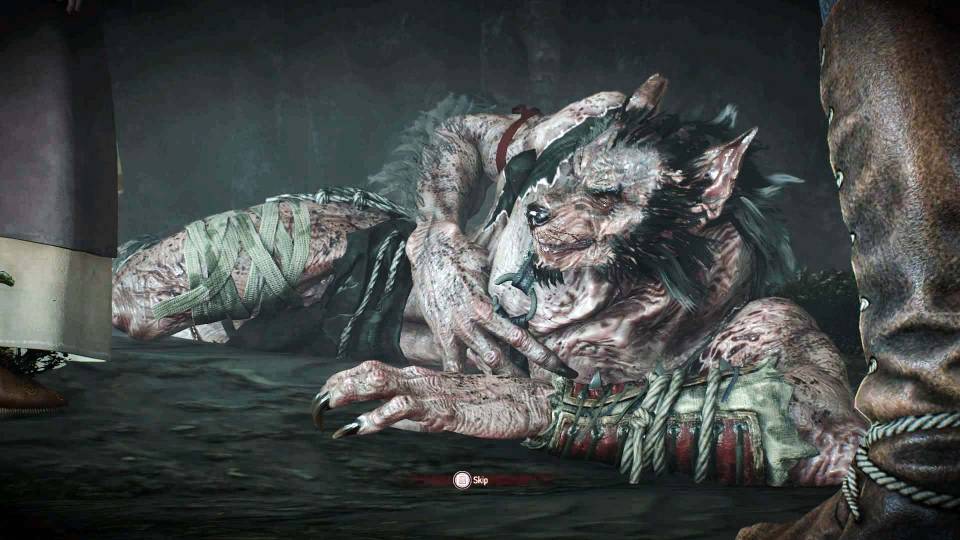 The Witcher 3 werewolf