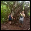 thumbnail Oahu hike trees