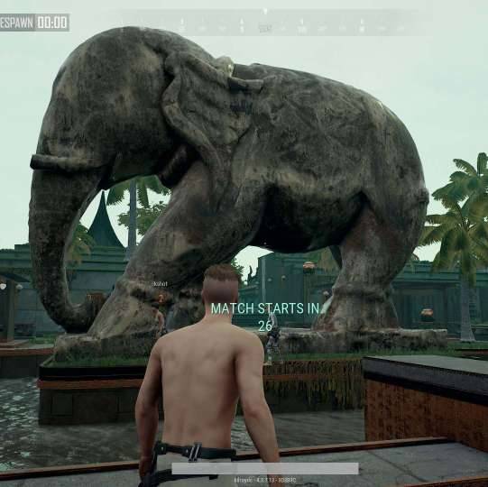 PUBG PlayerUnknowns Battlegrounds Sanhok elephant Paradise