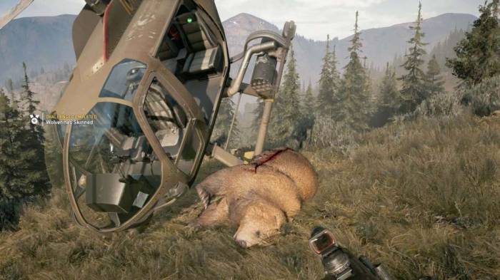 FarCry 5 helicopter landed on bear wtf