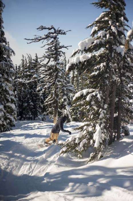Mt Hood snowboard tree run