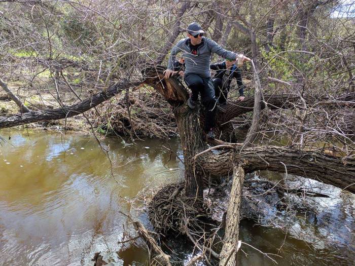 Penasquitos Canyon crossing creek on log poison oak hunting