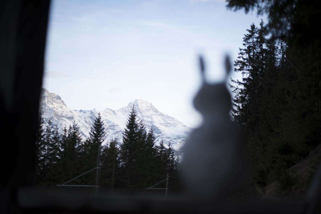 Switzerland Murren alps trip Europe bunny snowman mountain view