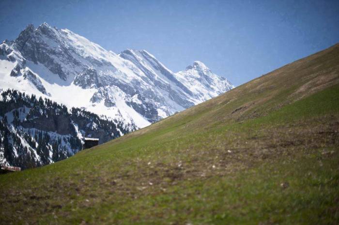 Switzerland travel alps Gimmelwald grass mountains