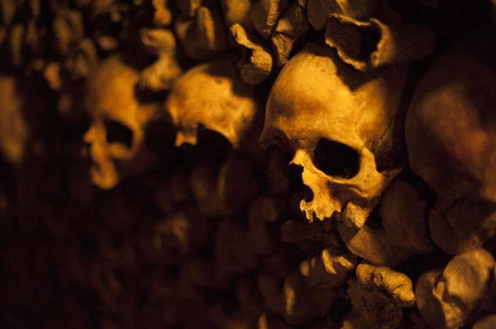 Paris France travel catacombs skull