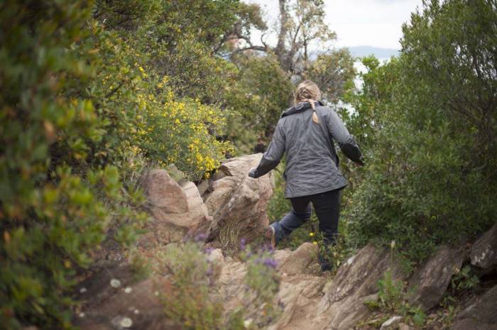 France Rayol Canadel Sur Mer Mediterranean riviera hike Sentier Fenouillet