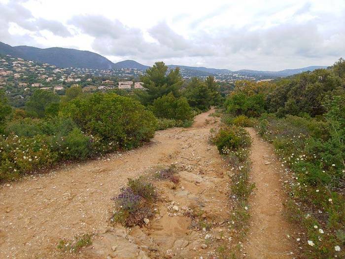 France Rayol Canadel Sur Mer Mediterranean riviera hike Sentier Fenouillet view