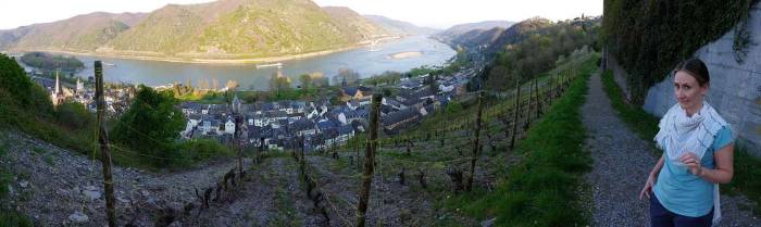 Bacharach Germany riesling vineyards Rhein river panorama