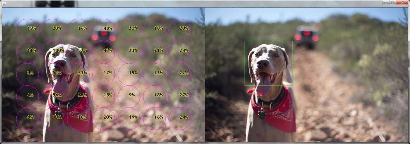 Thumbnail selection algorithm areas of interest dog weimaraner