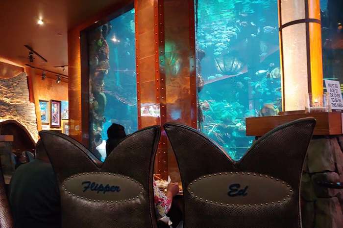 Mermaid lounge Silverton Casino