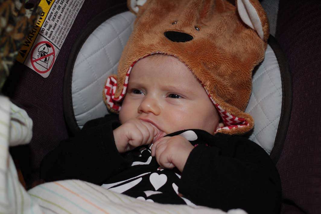 Infant bear costume