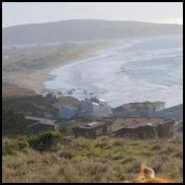 thumbnail Dogs north coast weimaraner golden