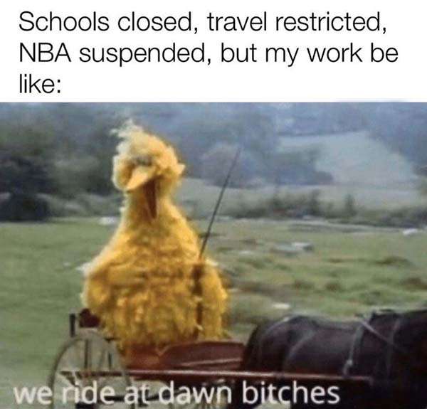 Coronavirus meme work we ride at dawn bitches Big Bird