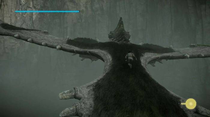 Shadow of the Colossus remaster colossus 5 back