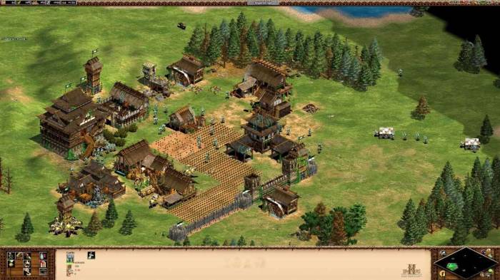 Age of Empires 2