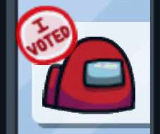 2020 election I voted